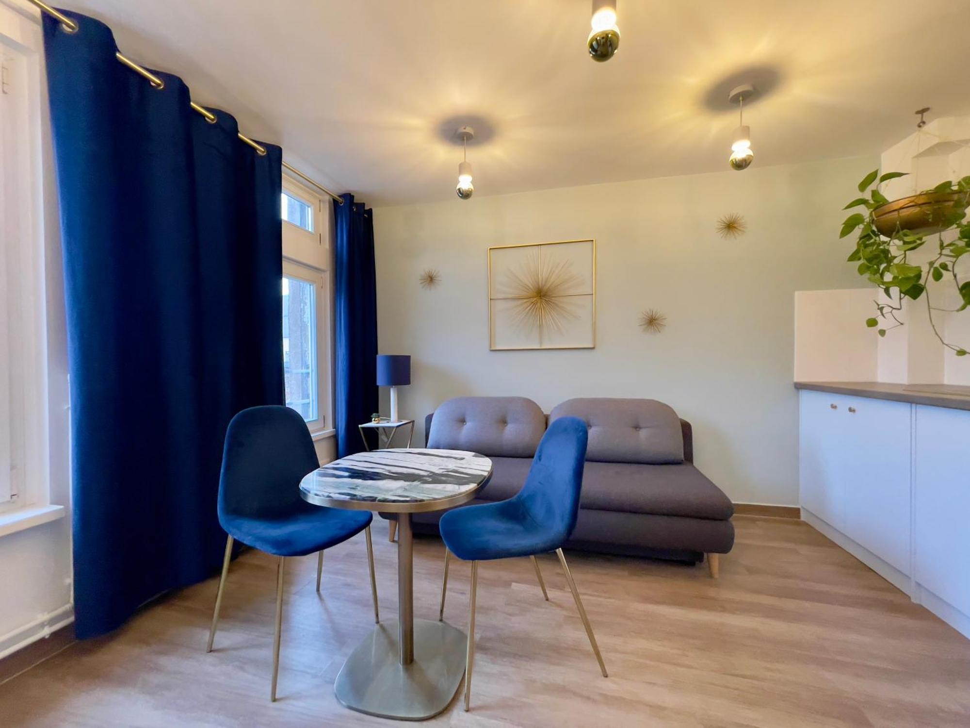 Appartement 2p Centre Straatsburg
